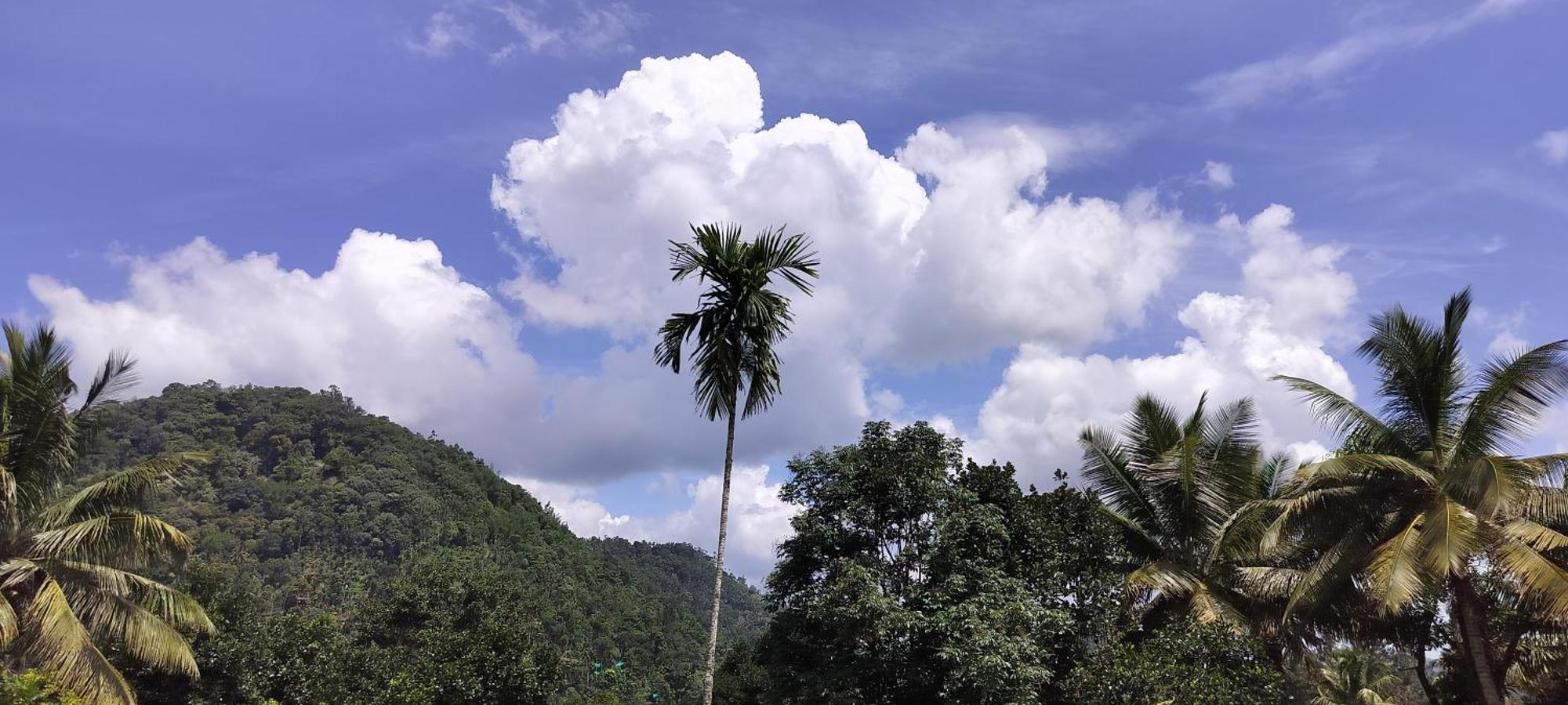 Himadri Munnar Holidays Kültér fotó